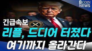 리플, 드디어 터졌다 여기까지 올라간다