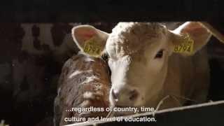 PL2020 Tour – Romania – A library for agriculture