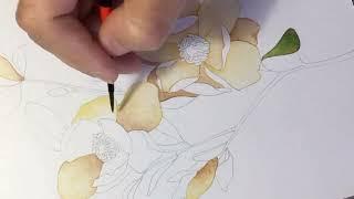 WATERCOLOUR FLORAL ART | FLORAL EASY ART | AYESHA NAZNEEN