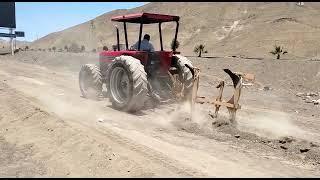 MASSEY FERGUSON 398 CON TURBO