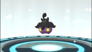 Shiny Pumpkaboo - Evolution