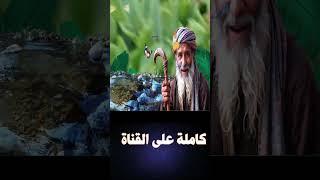 قصة القاضي الذكي والرجل الفقير وسر الكهف وكنز المرأة العجوز  #قصص_مسموعة_للمكفوفين #ضع_السماعات