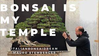 Bonsai is my Temple