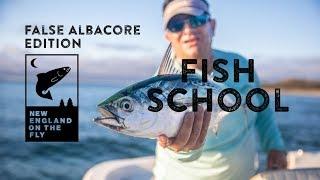 How To Fly Fish for False Albacore in New England: Gear Edition