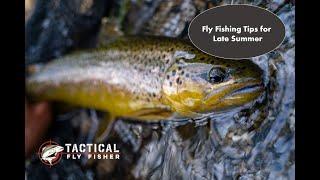 Fly Fishing Tips for Late Summer