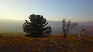 The North Fork of The Shoshone River, Cody, Wyoming