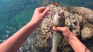 Independent fishing in Pattaya - Koh LAN Island (Nual Beach) - Pattaya Fishing shops