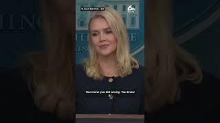 Karoline Leavitt reacts to Elon Musk's social media posts slamming Trump's 'big, beautiful bill'