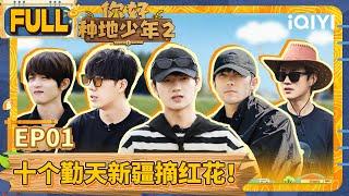 【EP1】十个勤天新疆摘红花！鹭卓陈少熙自由逐风 | 你好种地少年2 FULL | Hi Young Farmers S2 | iQIYI综艺