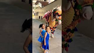 Horse video  | #horse #horses #ghoda #cutebaby #ytshorts #viral #trending #shortsfeed #ytvideo