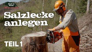 Salzlecke anlegen | Teil 1 | Wildhege | Back to Hunt