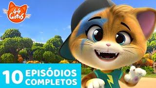 44 Gatos | 10 Episódios completos  | Momentos gatásticos | Temporada 1