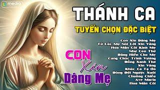 ALBUM THÁNH CA MÂN CÔI DÂNG MẸ - NHỮNG BÀI HÁT VỀ MẸ BẤT HỦ VỚI THỜI GIAN