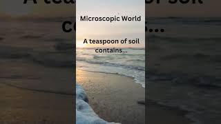 Microscopic world / #ifacts