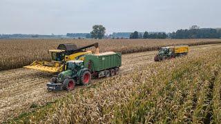 Loonbedrijf Nulens | Mais dorsen | New Holland CX8050 | Fendt