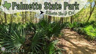 Palmetto State Park | What to See and Do in Palmetto State Park in Gonzales, TX