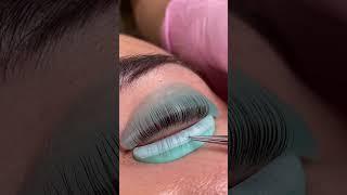 Lash Lift Tip: InLei FORMA Shields