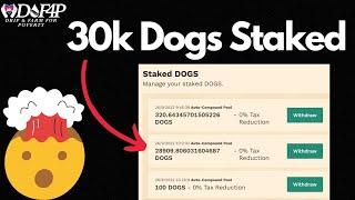 Drip Network Animal Farm v3 testing live dog pound farms and pools