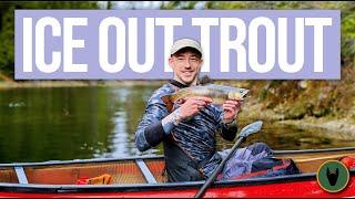 Ice Out Spring Brook Trout Camp - 4 Nights in Algonquin Park Chasing Brookies.