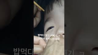 24년 여슷살 여름 밥먹다 말고 이빼기작전 ㅋㅋ