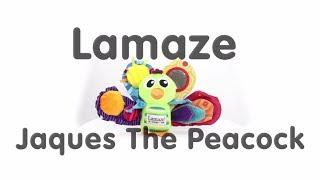 Lamaze Jaques The Peacock 360º view and Features