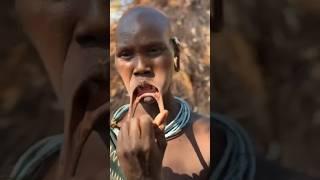 funny videos 