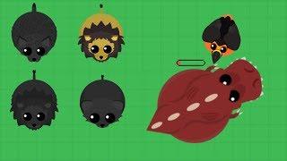 Mope.io- Almost getting all the Black Rares / Lava Toucan kills T-REX / Lava Toucan Compilation