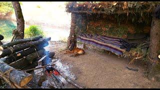 Build Bushcraft Shelter, 3 Days Solo Camp, Wild Camping, Primitive Technology, Survival Skills