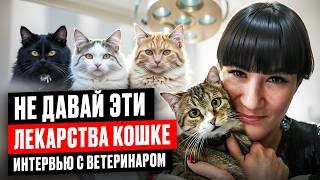 Опасно! Эти вет препараты назначают кошкам
