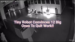 A Tiny Robot Leads a Revolution!