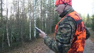 Hirvijahti 2024 osa 2, moose hunting 2024 part 2 #hirvenmetsästys #hirvijahti #moosehunting