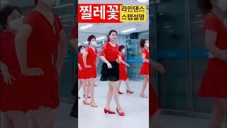 찔레꽃 라인댄스 스텝설명