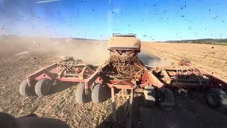 Drilling wheat with Case IH 500T and letting the dust roll…conventional ag 