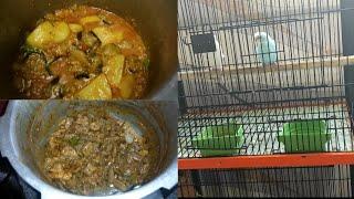 Parrot bimar hogya / or merazydar khany/ vlog/ sania,s/life/