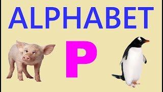 Learning Alphabet P......P for PIG ..... P for PENGUIN