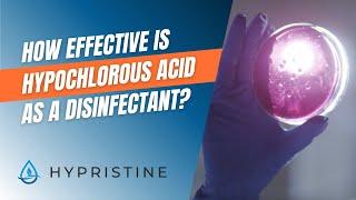 How Effective is Hypochlorous Acid (HOCl) as a Disinfectant?