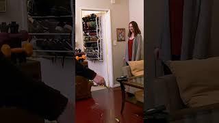Cute Cat Passes Out While Playing! | My Cat From Hell | Animal Planet