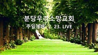 그로 영광을 받으셨으면 그에게 영광을 주시리니 (요 13장 12 ~32절) | 오진희 담임목사 | 분당우리소망교회 주일예배live | 2025. 2.23.
