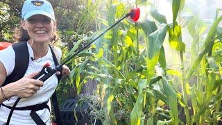 I’m loving my battery-powered backpack sprayer! | Here She Grows