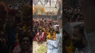 Vrindavan main hue unbelievable darshan ️ #mihir #ytshorts #vrindavan #radheradhe #krishna