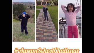 #AurumSchoolChallenge _день 6