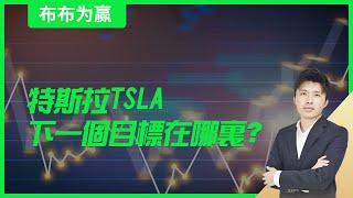 【布布为赢】特斯拉TSLA下一个目标在哪里？