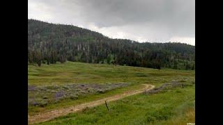 Property for sale - 16000 E HIGHWAY 264 N, Fairview, UT 84629