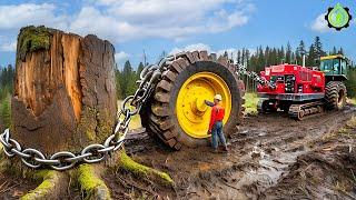 Extreme Dangerous Fastest Big Chainsaw Cutting Tree Machines | Monster Stump Removal Excavator #86