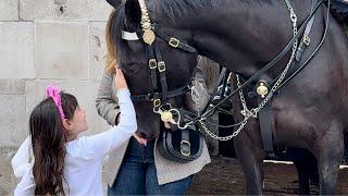 A Magnificent Day of Fun with Regal Horses and Tourists at Horse Guard!