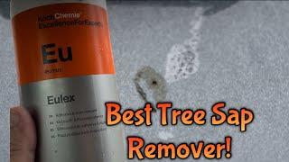 How To Remove Tree Sap (& More!) From Cars  Koch-Chemie Eulex