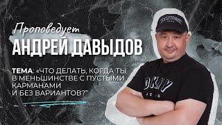 Что делать, когда ты в меньшинстве с пустыми карманами и без вариантов | Давыдов Андрей