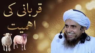 Kurbani Ki Ahmiyat Bayan || Mufti Tariq Masood || Today Bayan #islam #bayan #video