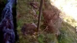 From Pico do Arieiro to Monte. Pe de Cabra - Goat foot . Part 1