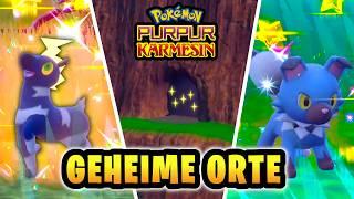 Diese GEHEIMEN Orte für SHINY Pokemon habe ich euch verschwiegen! | (Pokemon Karmesin & Purpur)